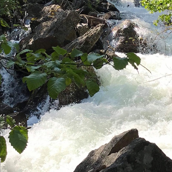 Meet your Posher, Ann - Picture 7 of 8